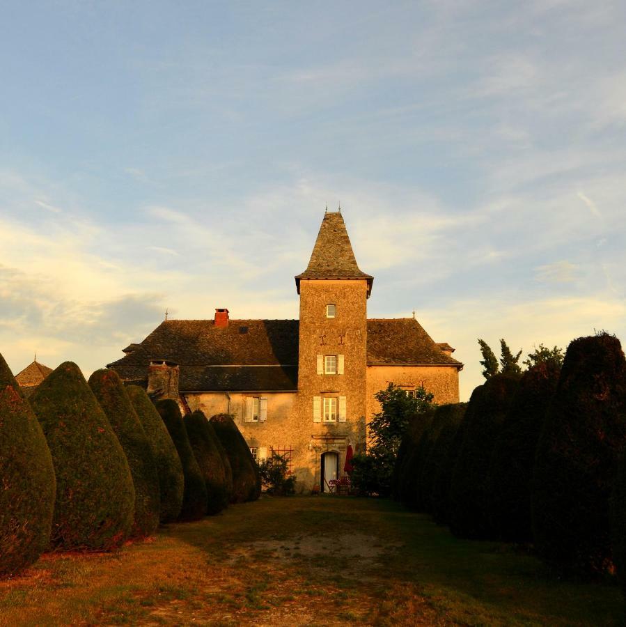 Domaine De Marsaguettes Villa Morlhon-le-Haut Ngoại thất bức ảnh